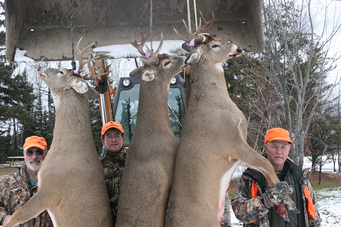 Whitetail Deer Hunting