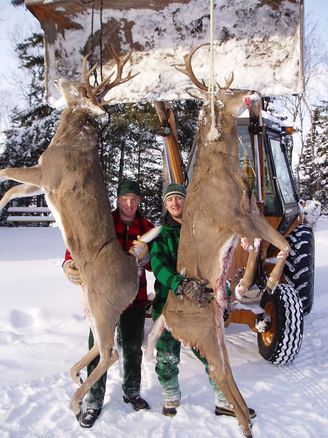 Whitetail Deer Hunting