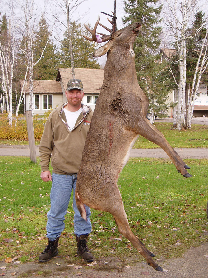Whitetail Deer Hunting