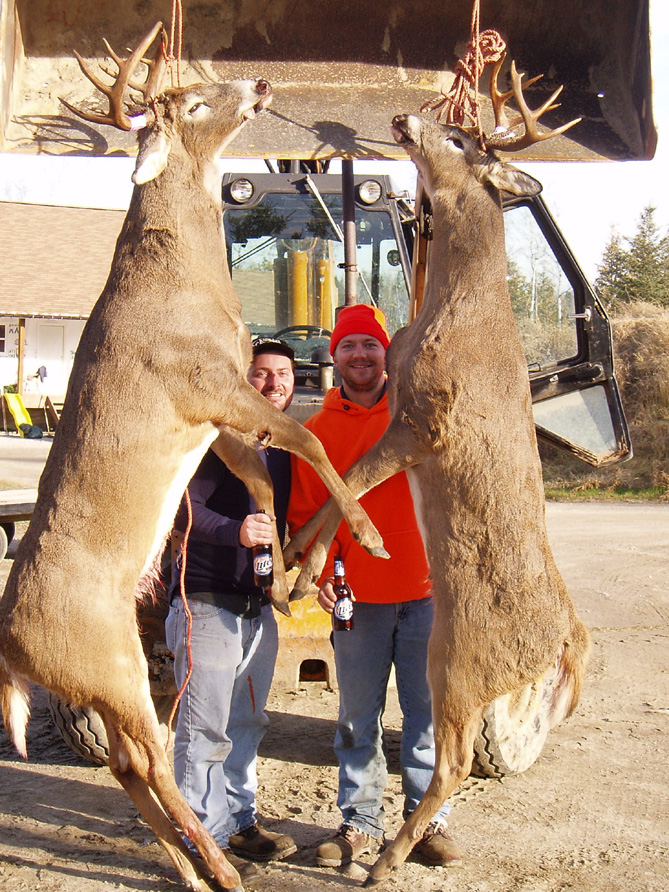 Whitetail Deer Hunting