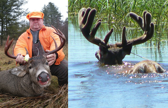 Whitetail Deer Hunting