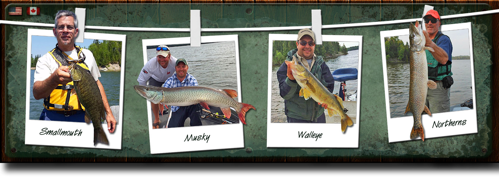 Walleye