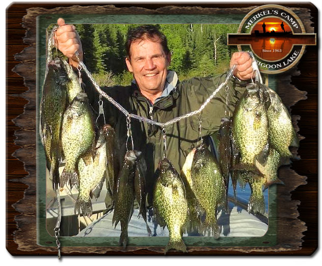 Ontario Crappie Fishing Wabigoon Lake